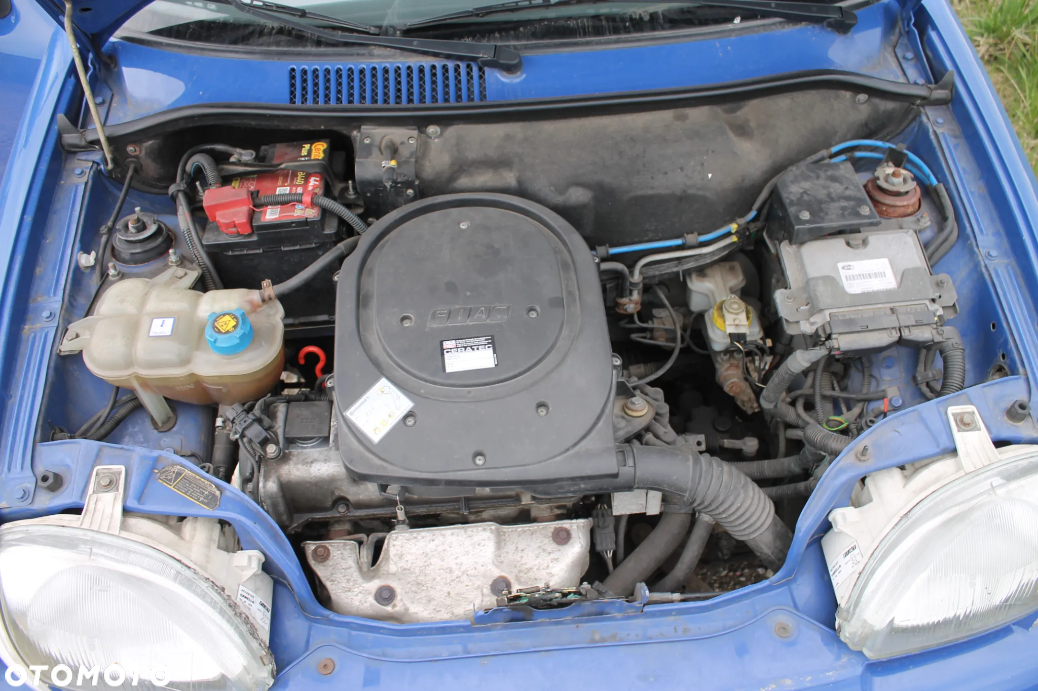 Fiat Seicento - 5