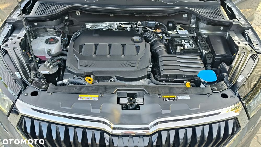 Skoda Karoq - 30