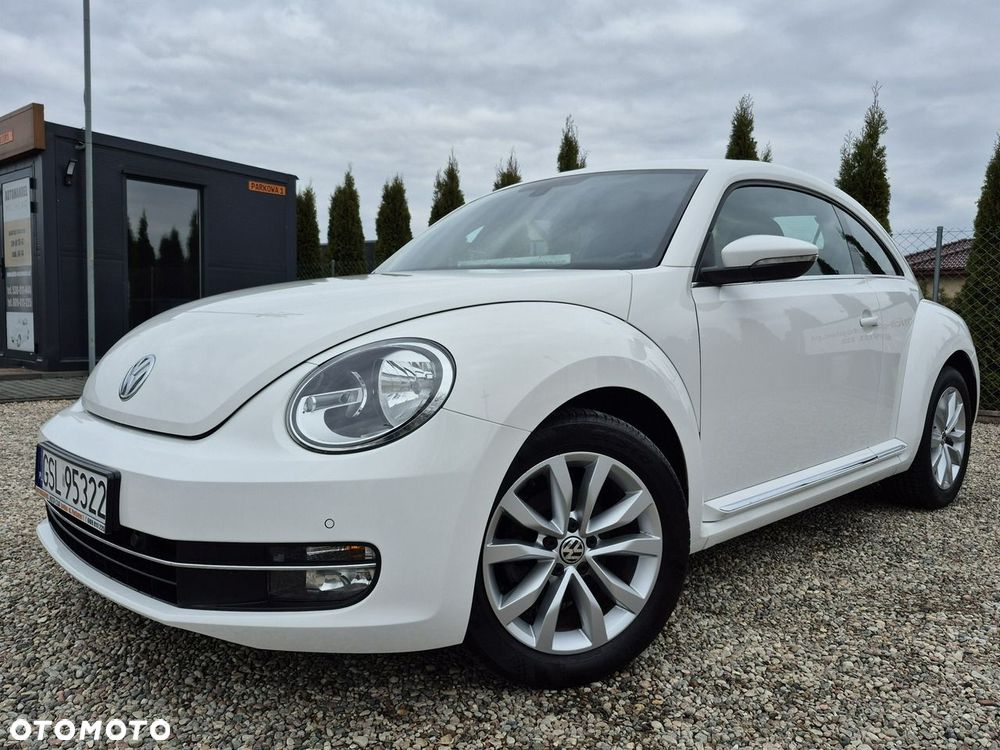 Volkswagen Beetle - 19