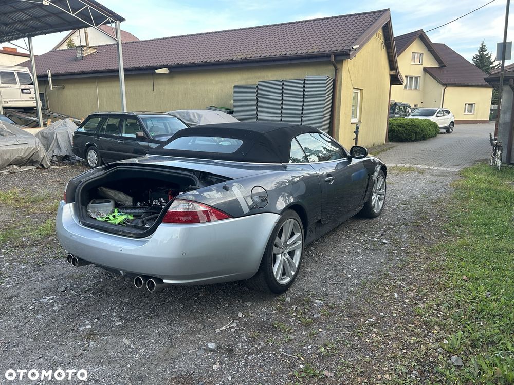 Jaguar Inny - 6