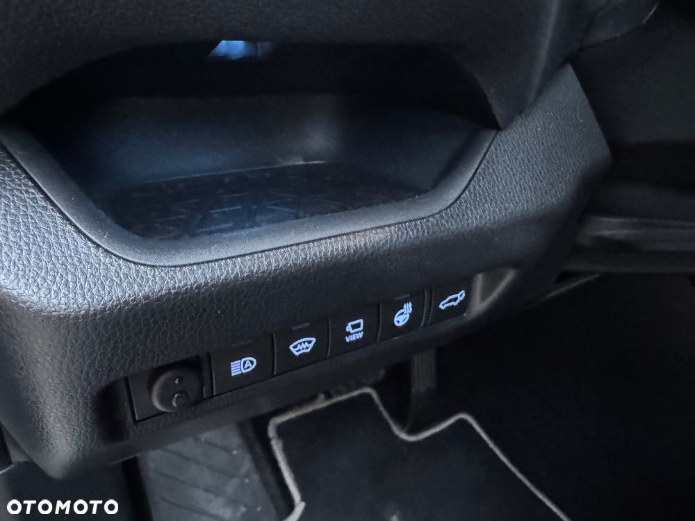 Toyota RAV4 2.5 Hybrid Executive 4x2 - 24