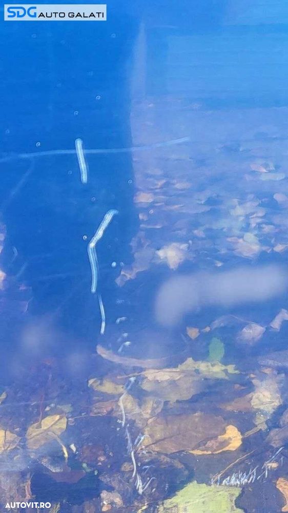 Usa Usi Portiera Portiera Dreapta Spate Chevrolet Aveo T250 2003 - 2011 [LC2432] - 6