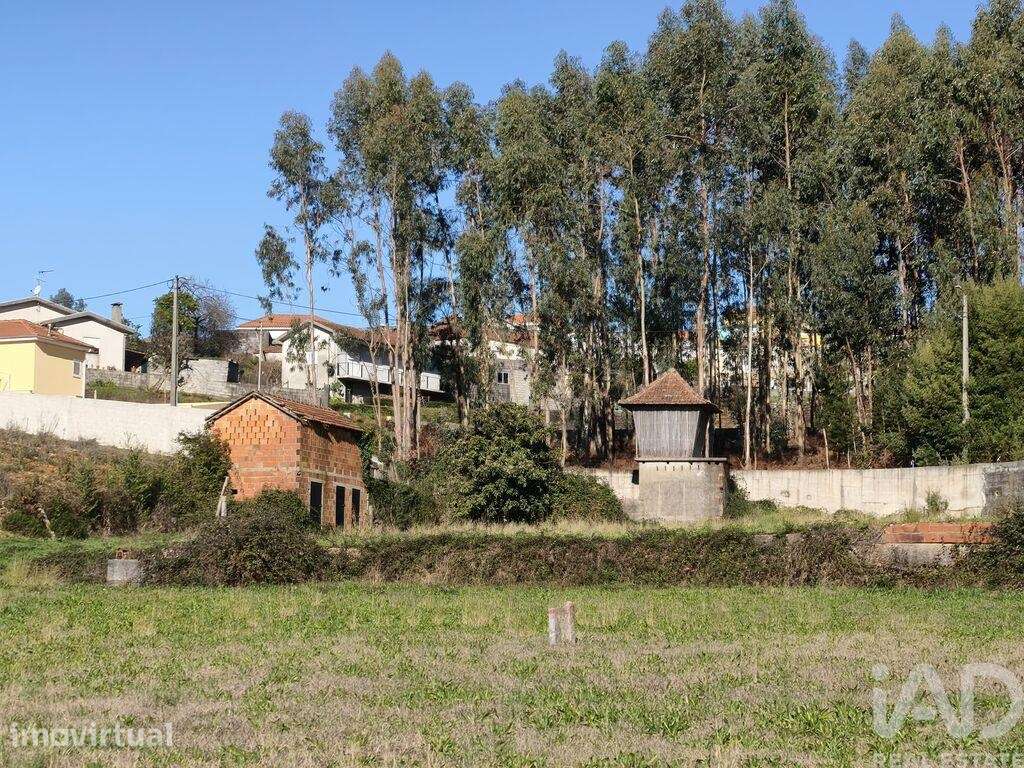 Terreno em Canedo, Vale e Vila Maior de 2893,00 m2 - Grande imagem: 5/17