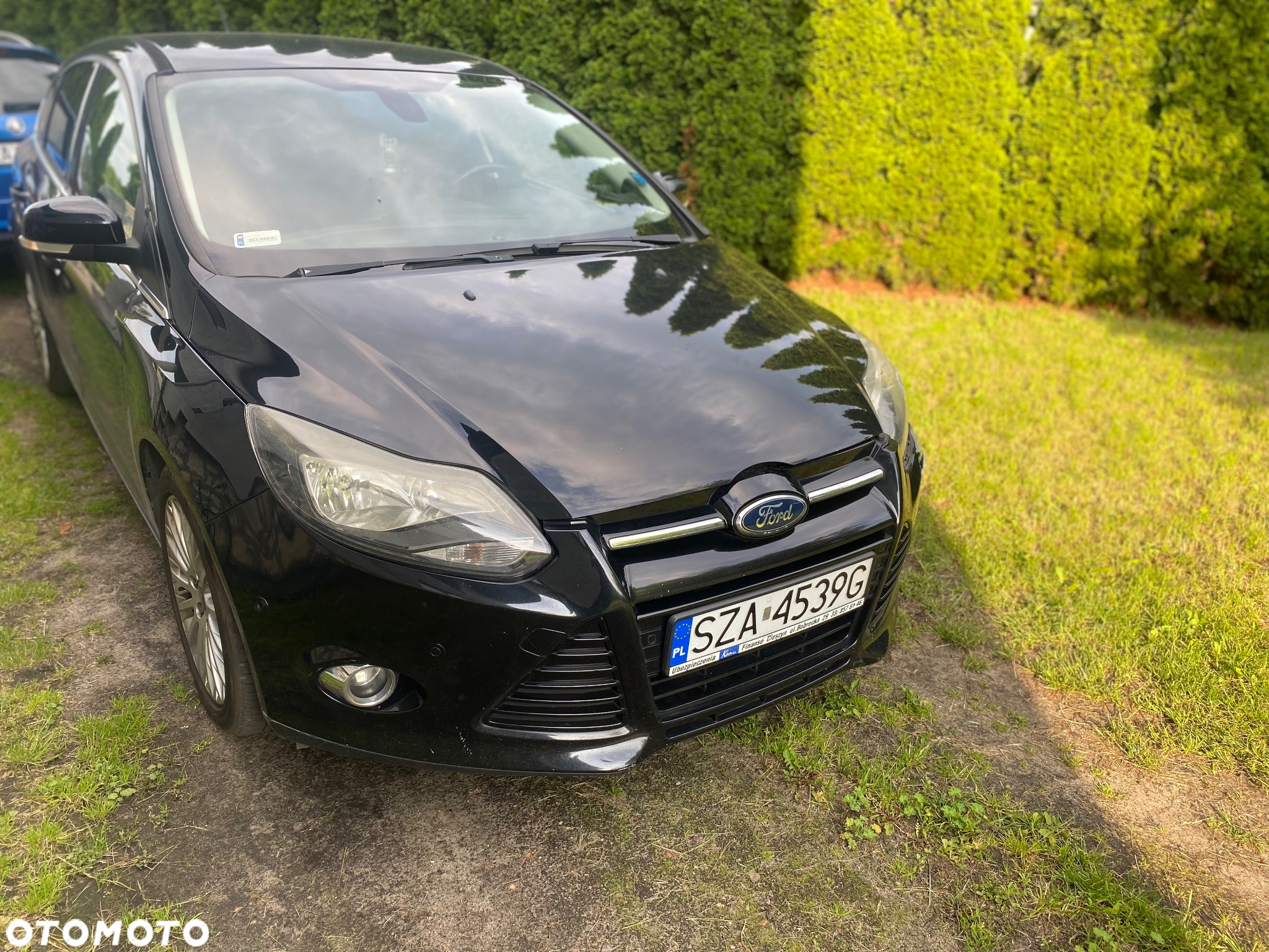 Ford Focus - 6