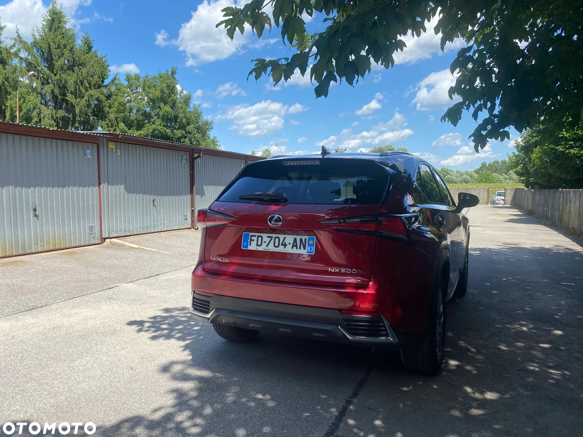 Lexus NX 300h Elegance AWD - 13