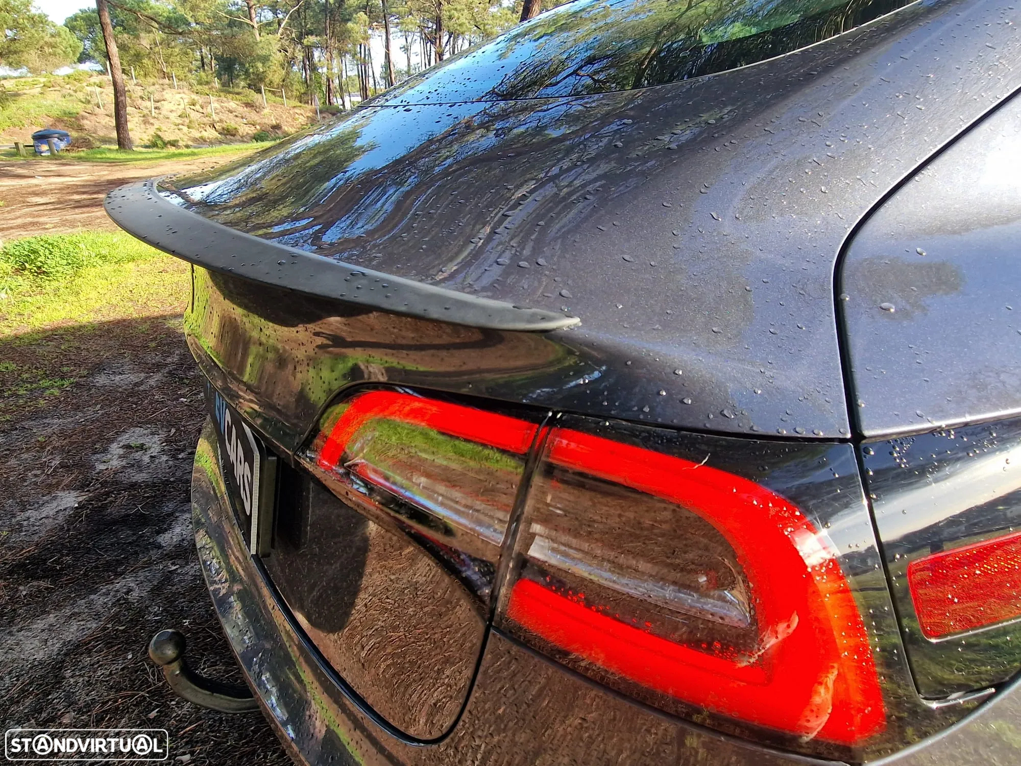 Tesla Model 3 Standard Range Plus RWD - 19