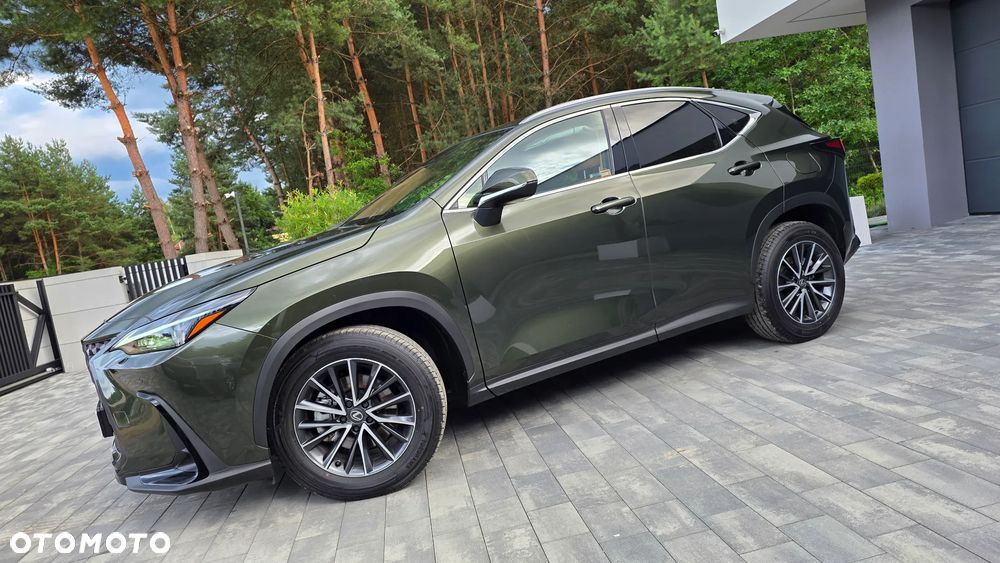 Lexus NX 350h Prestige 2WD - 4