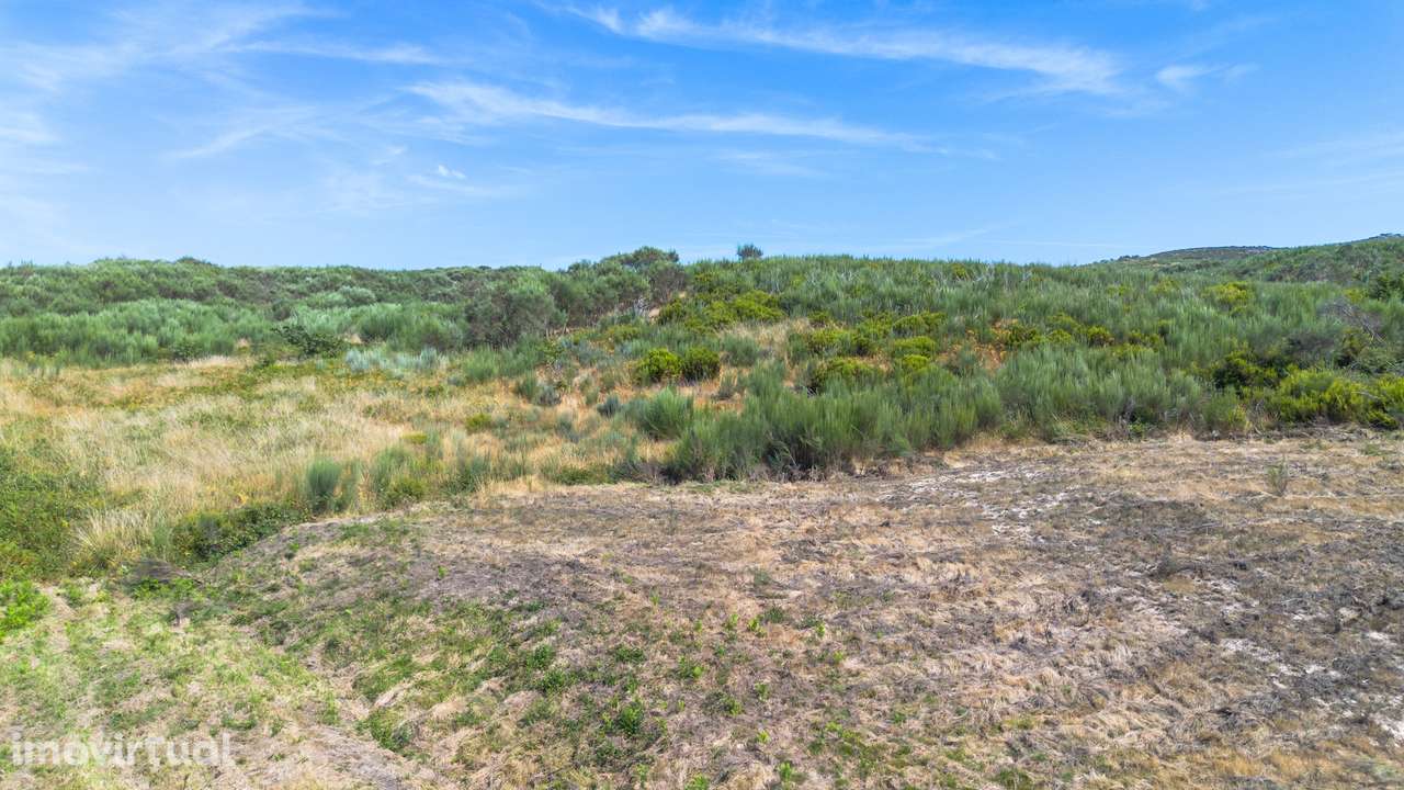 Terreno  Venda em Gouveia (São Simão),Amarante - Grande imagem: 5/17
