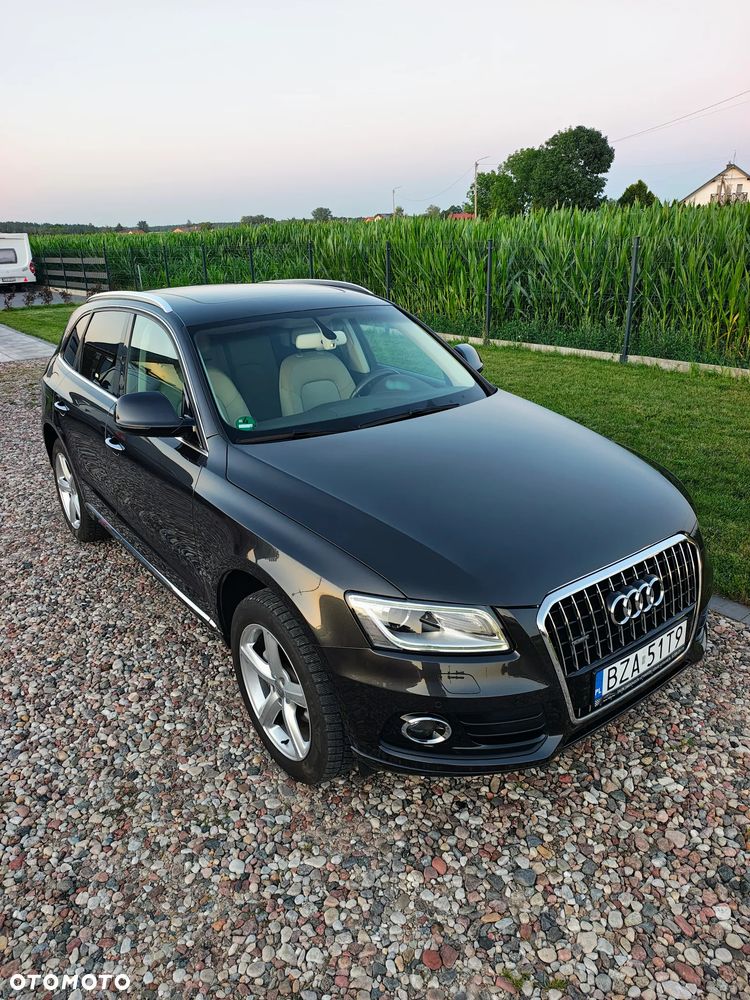 Audi Q5 - 18