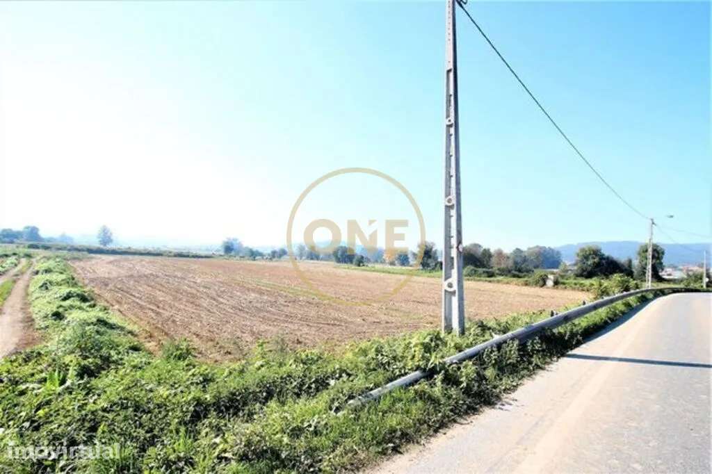 Terreno Agrícola com 18.500 m2 no Louro - Grande imagem: 2/7