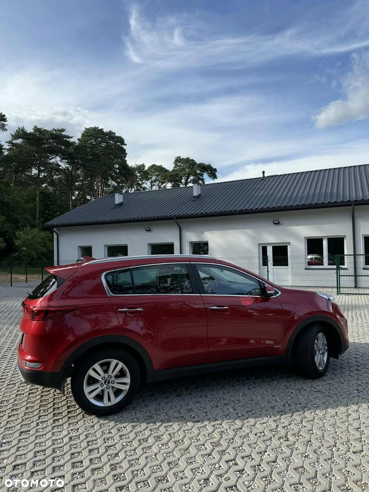 Kia Sportage 1.6 T-GDI Business Line 4WD DCT - 5