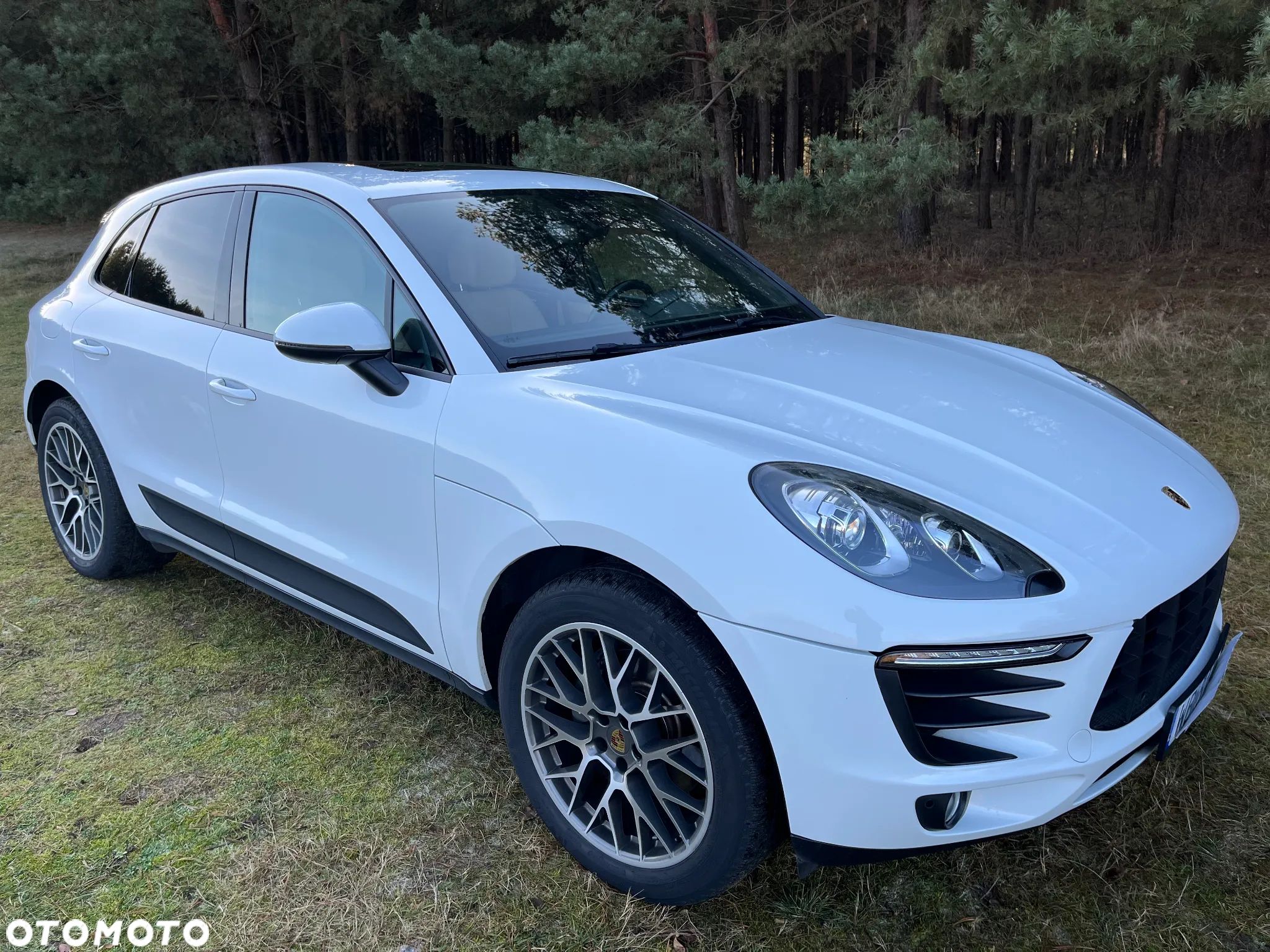Porsche Macan - 1