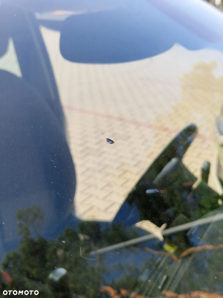 Ford Focus C-Max - 12