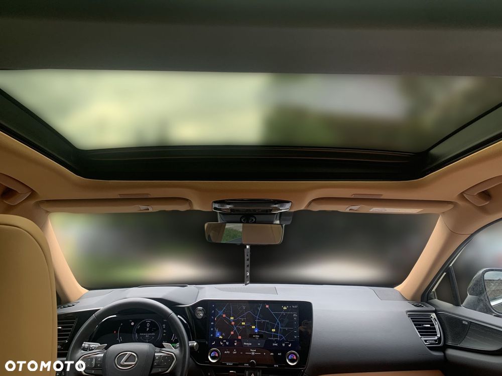 Lexus NX - 23