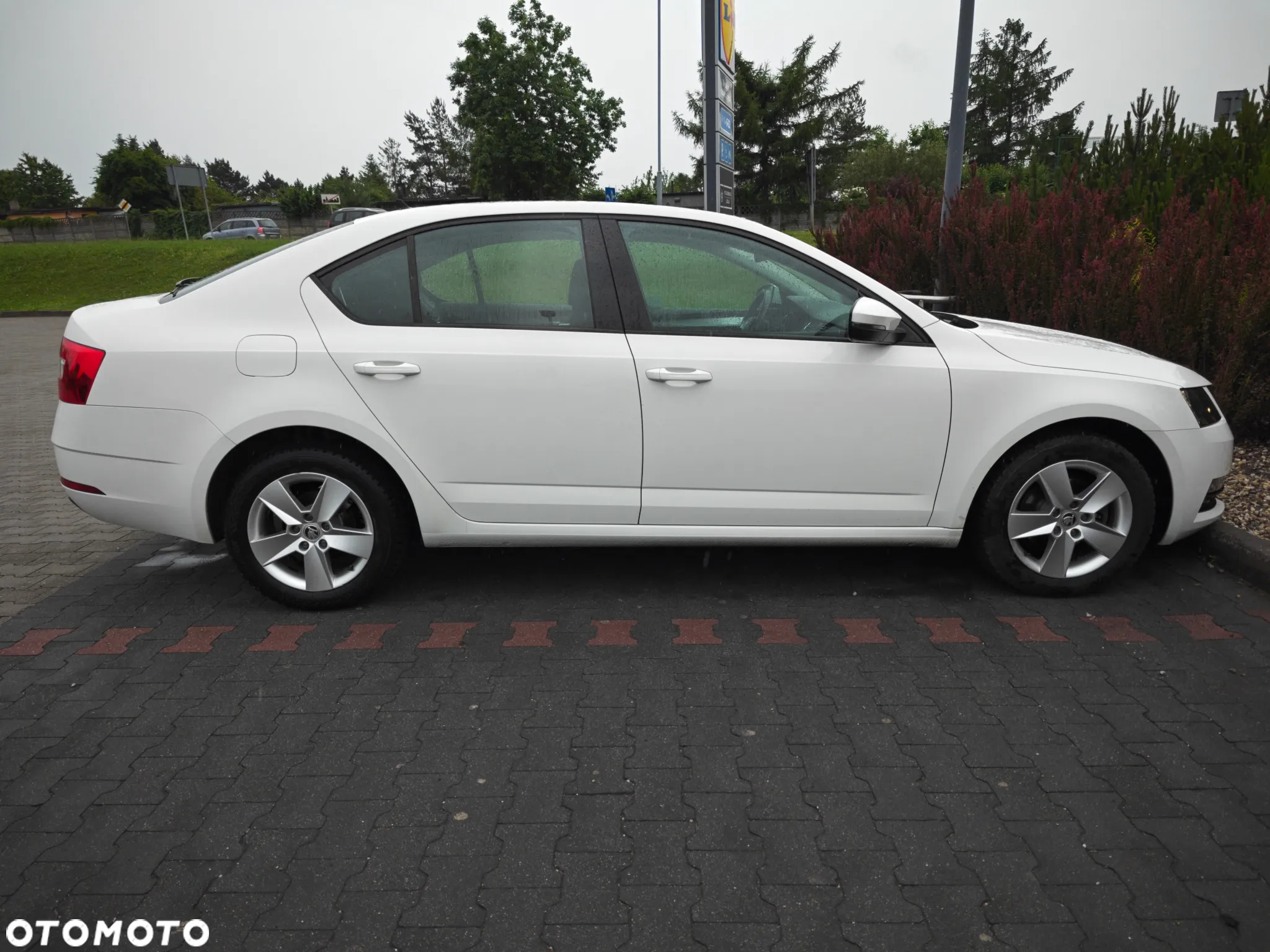 Skoda Octavia 1.6 TDI Ambition - 25