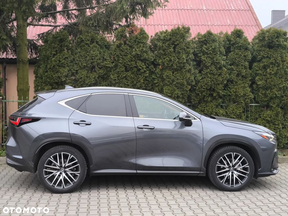 Lexus NX 350h Prestige AWD - 7