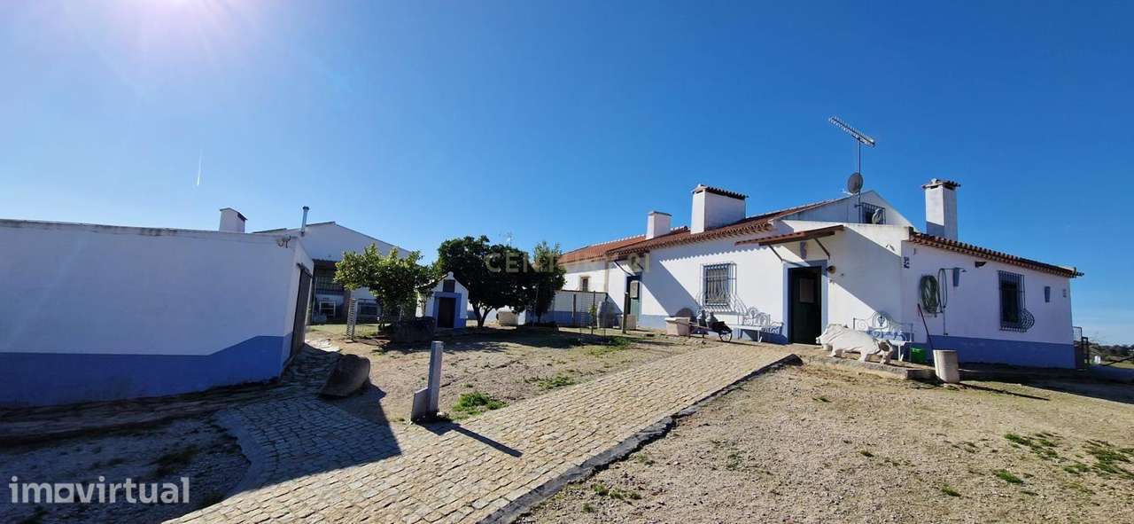 Herdade de 62 Hectares no Coração do Alentejo – Évora  - Agricultura - - Grande imagem: 2/33