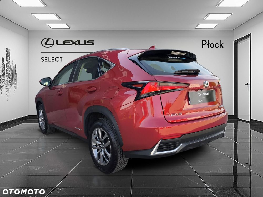 Lexus NX 300h Business Edition AWD - 3