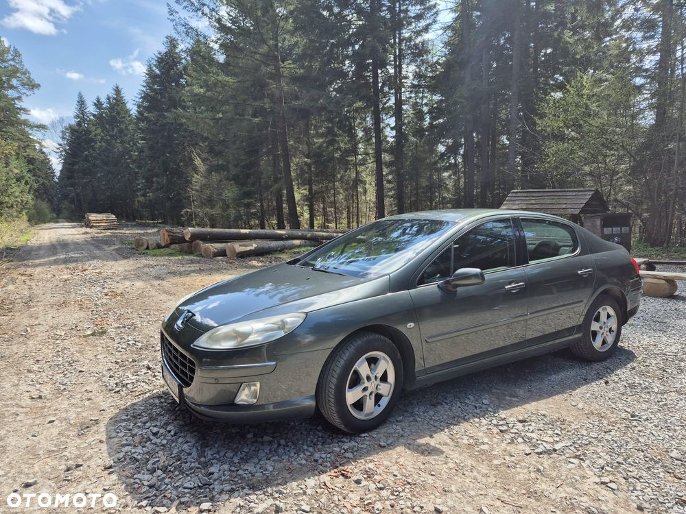 Peugeot 407 HDi 110 Esplanade - 21