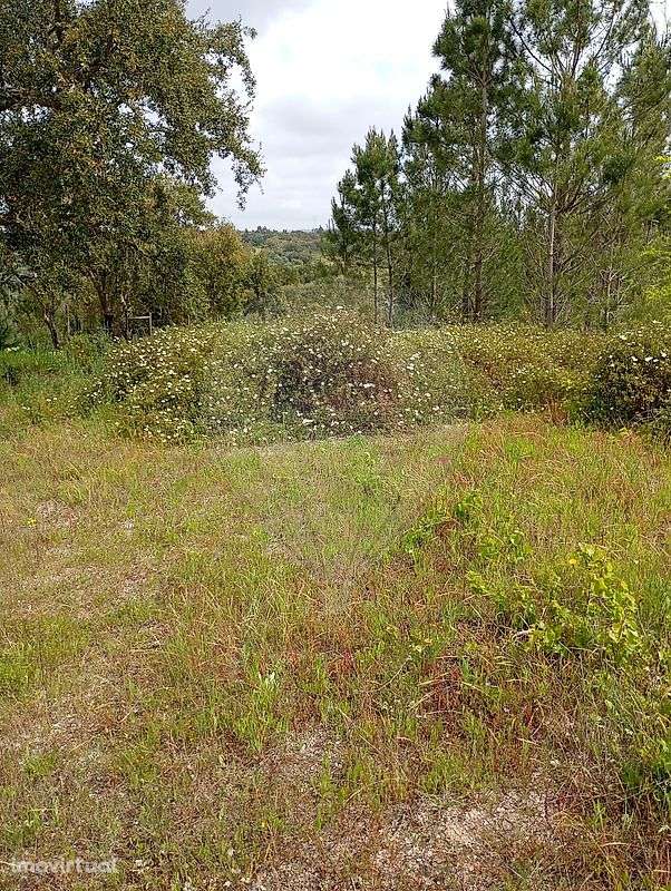 Terreno  para venda - Grande imagem: 2/6