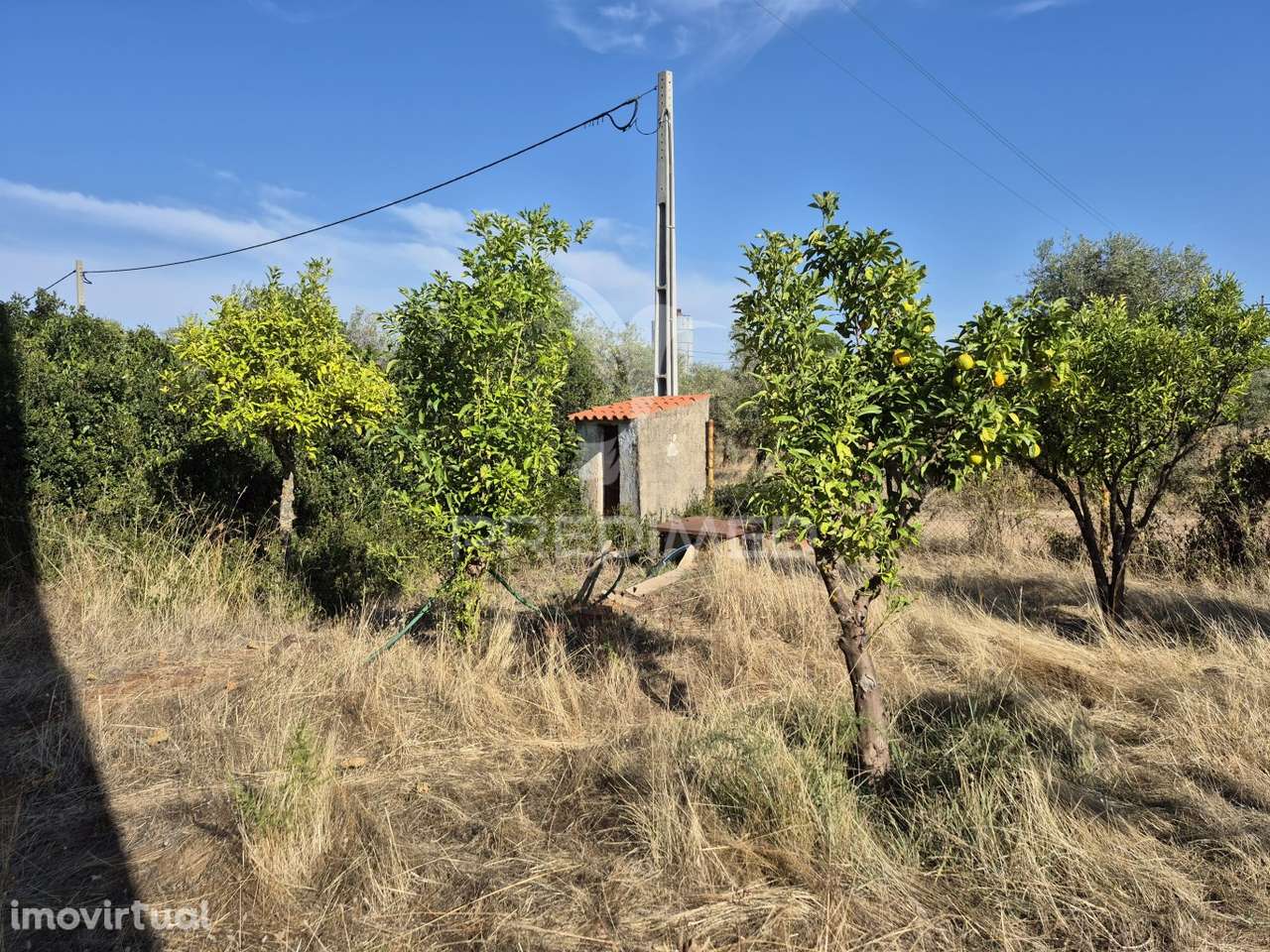 Terreno Rustico - Grande imagem: 2/39