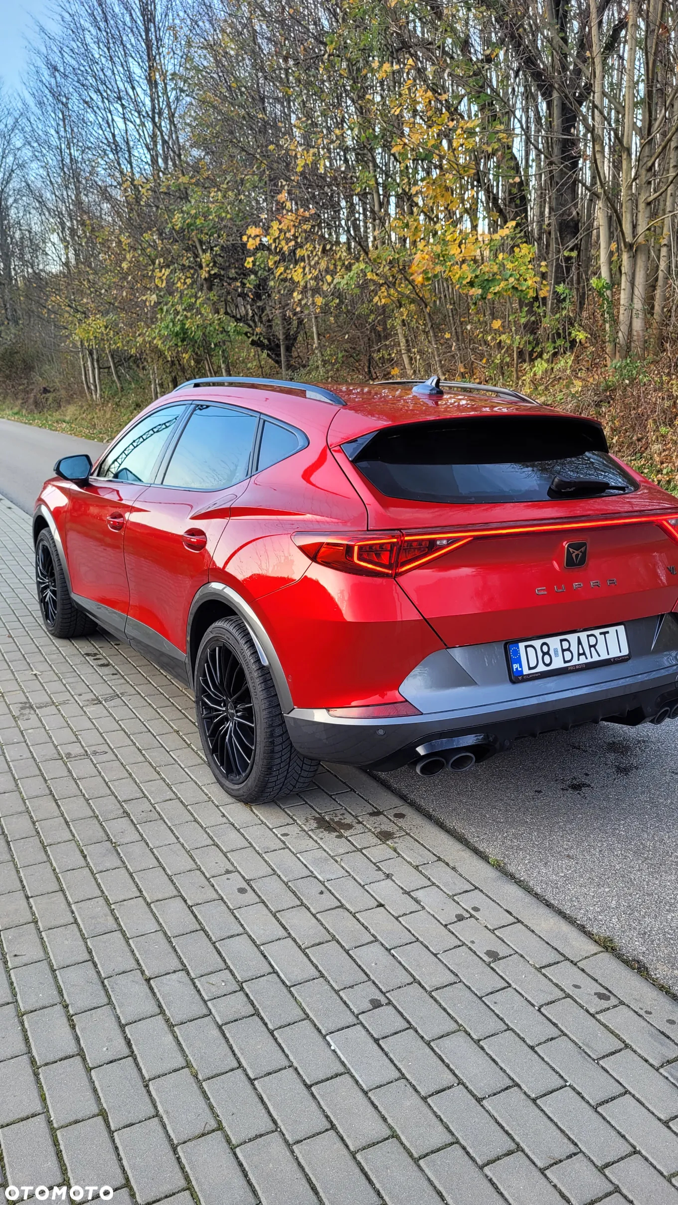 Cupra Formentor 2.0 TSI 4Drive VZ DSG - 7