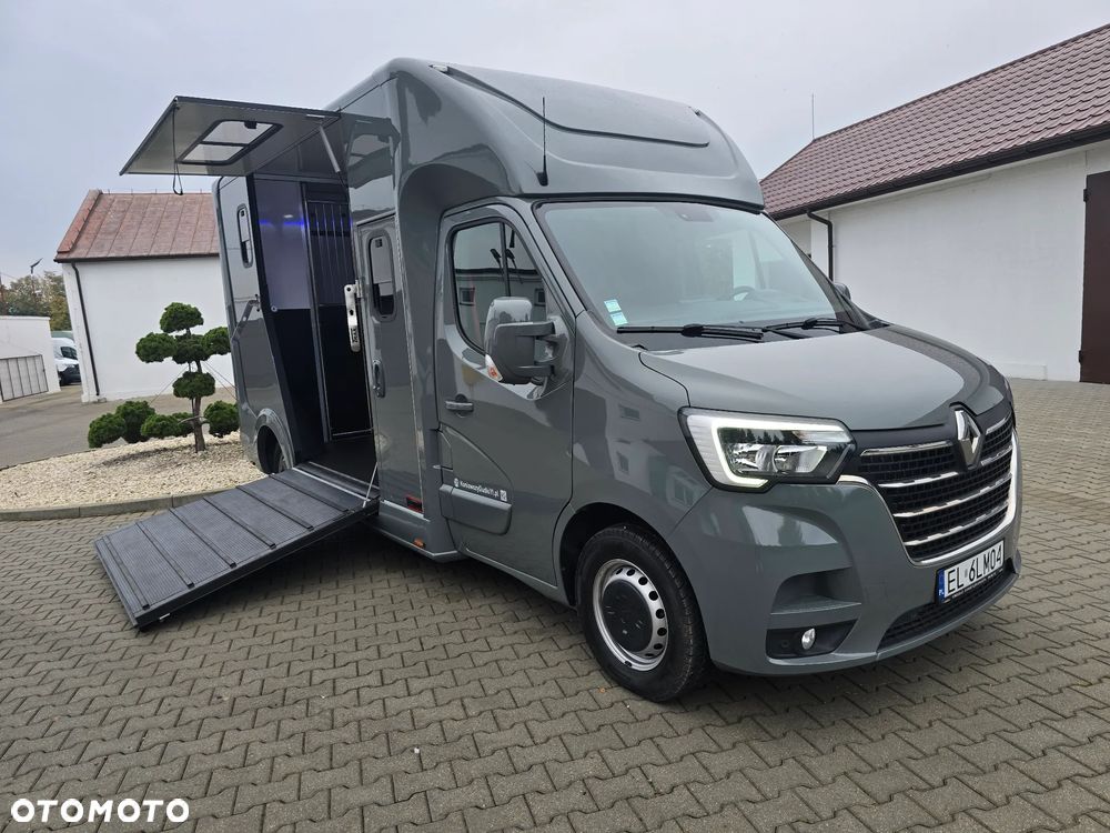 Renault Master-Koniowóz - 2
