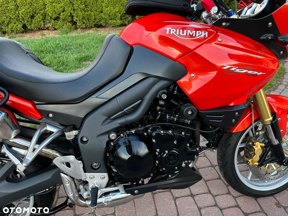 Triumph Tiger - 16