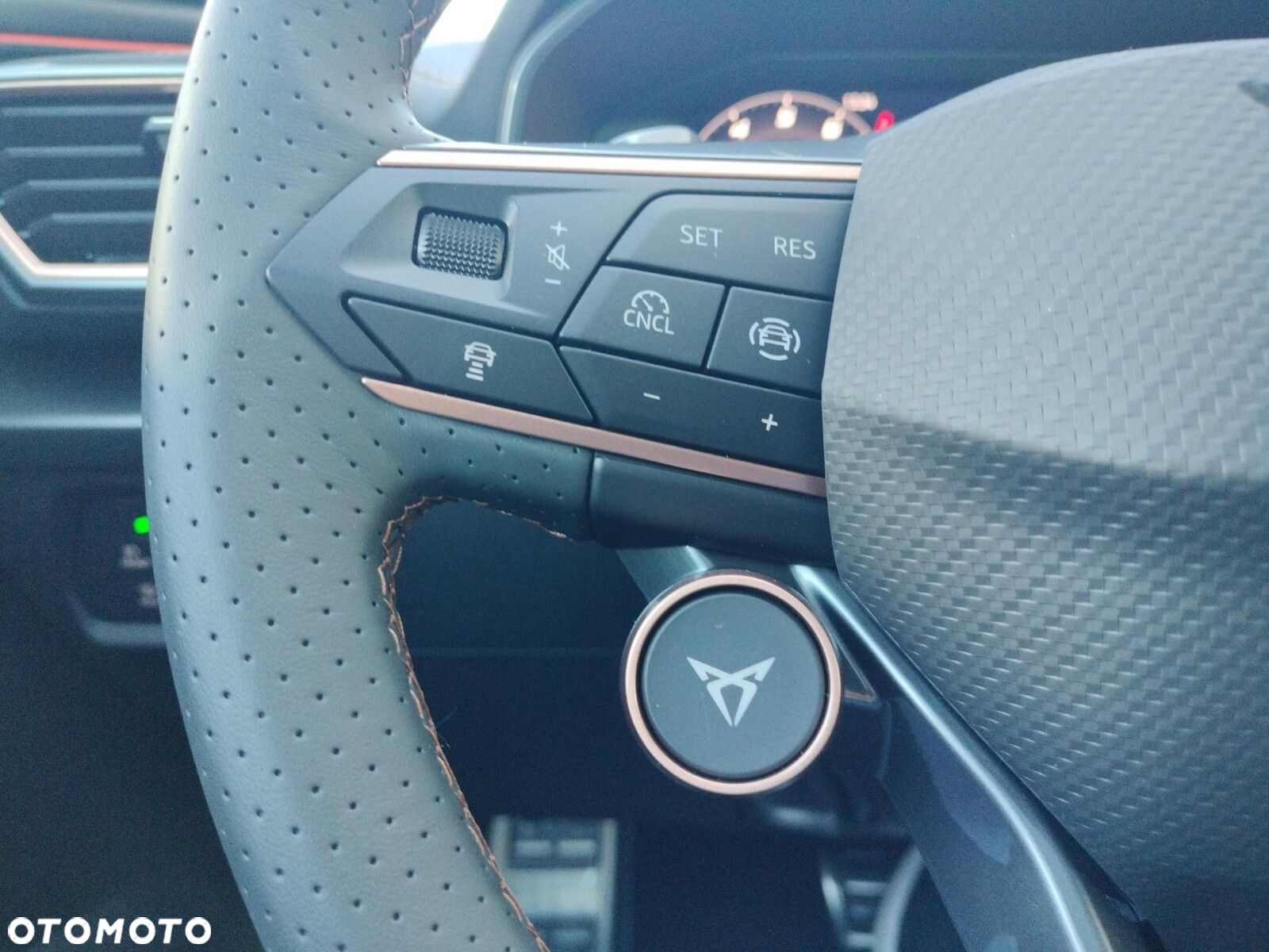 Cupra Formentor 1.5 eTSI mHEV DSG - 26