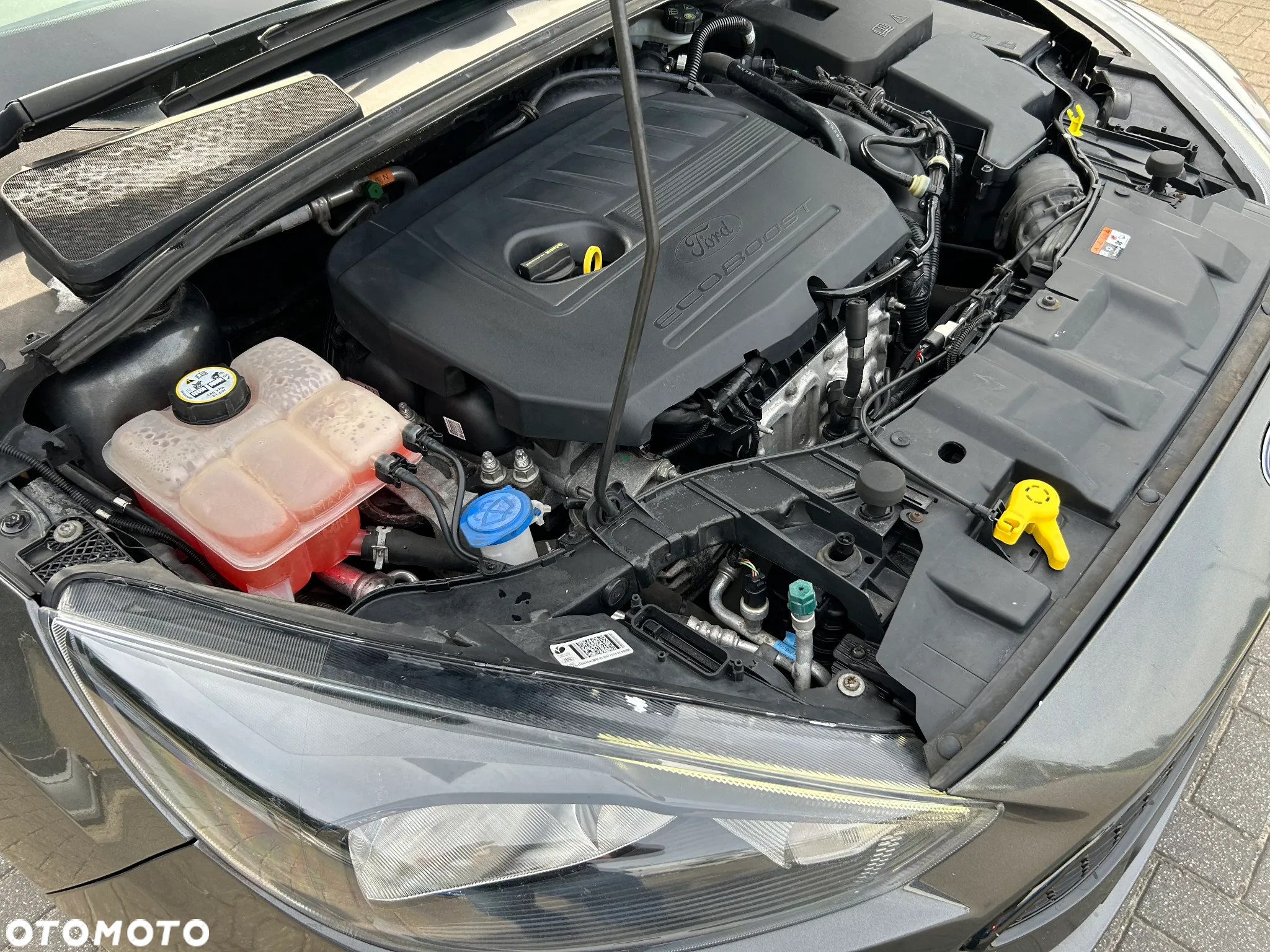 Ford Focus 1.5 EcoBoost ST-Line Red ASS - 17
