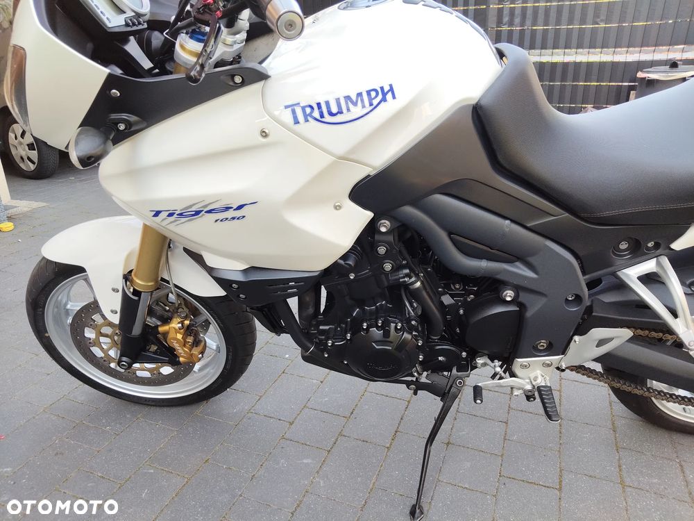 Triumph Tiger - 18