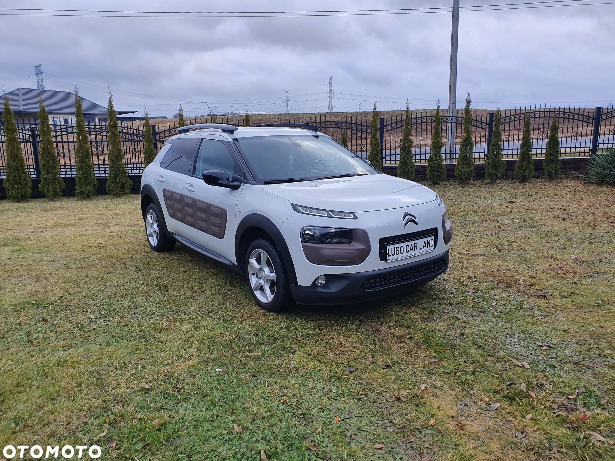 Citroën C4 Cactus 1.2 PureTech Shine S&S - 1