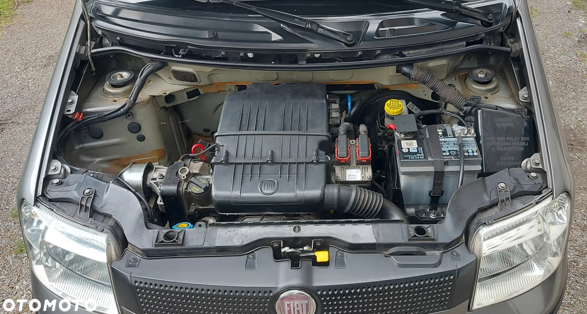 Fiat Panda 1.2 Classic Eco - 16