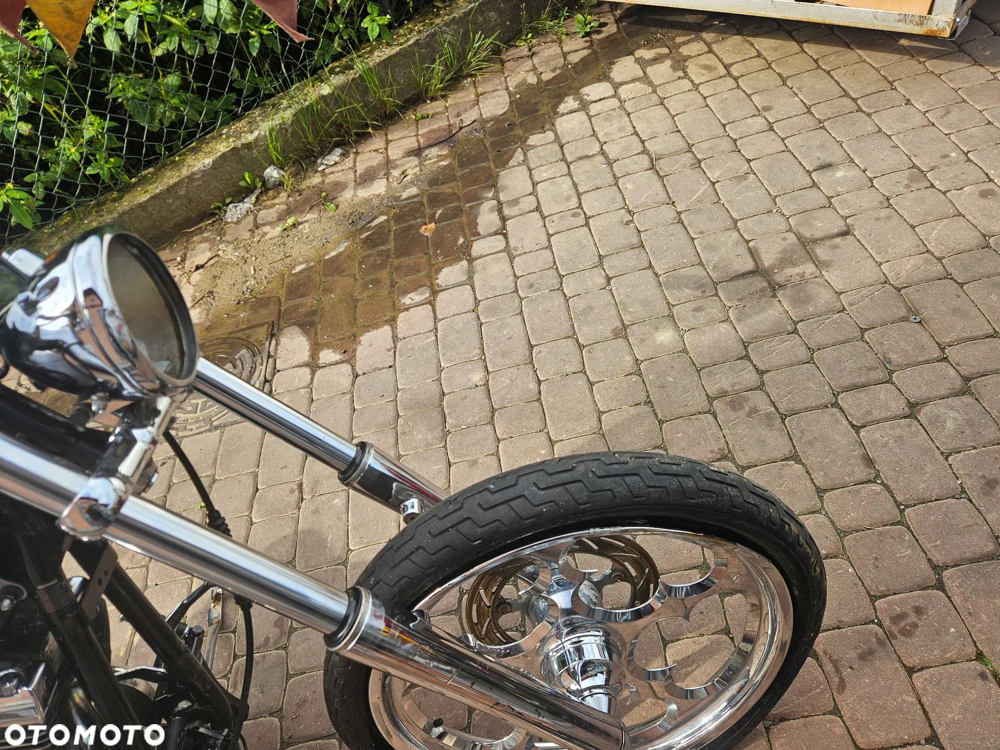 Harley-Davidson Softail Standard - 6