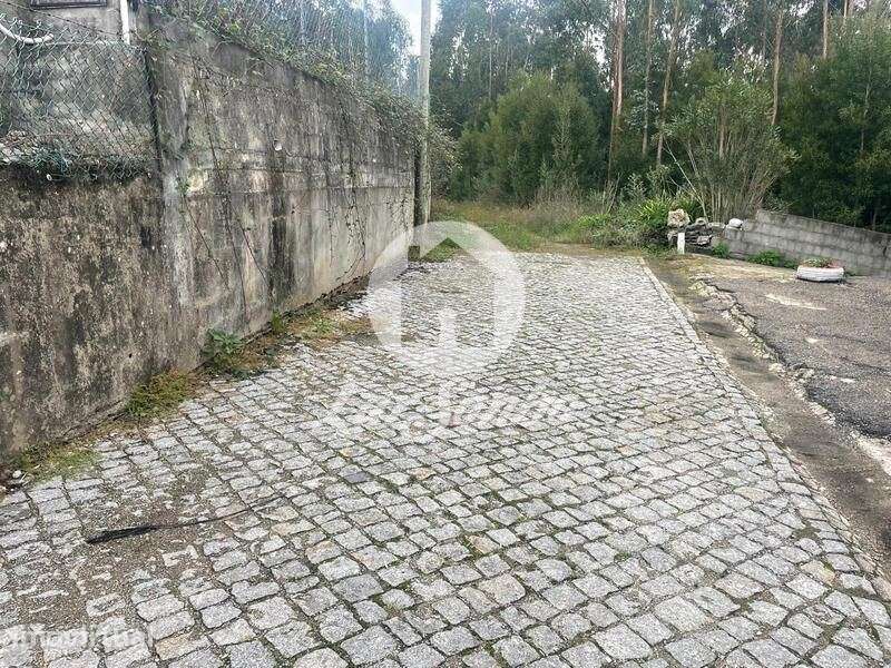 Terreno Rústico com 9.100m2 Inserido em Zona Industrial de Guidões,... - Grande imagem: 2/9