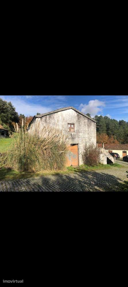 Moradia com terreno em Cabriz - Ribeira de Pena - Grande imagem: 5/15