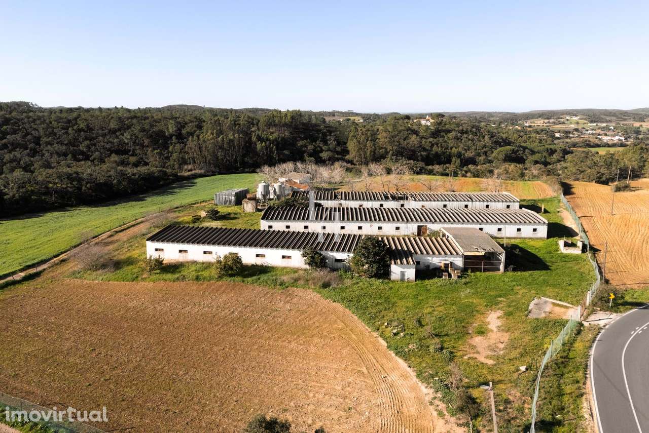 Terreno rústico 6ha para projeto agroturístico em Monte Ruivo, Aljezur - Grande imagem: 2/30