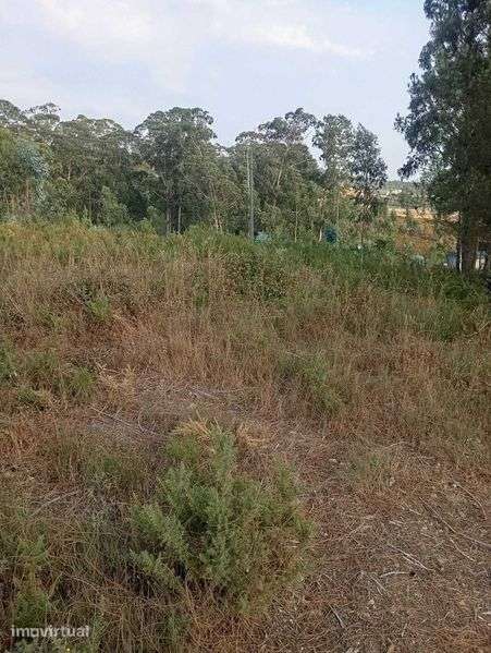 vendo terreno para construção em Gandra – 1.000 m² - Grande imagem: 3/5
