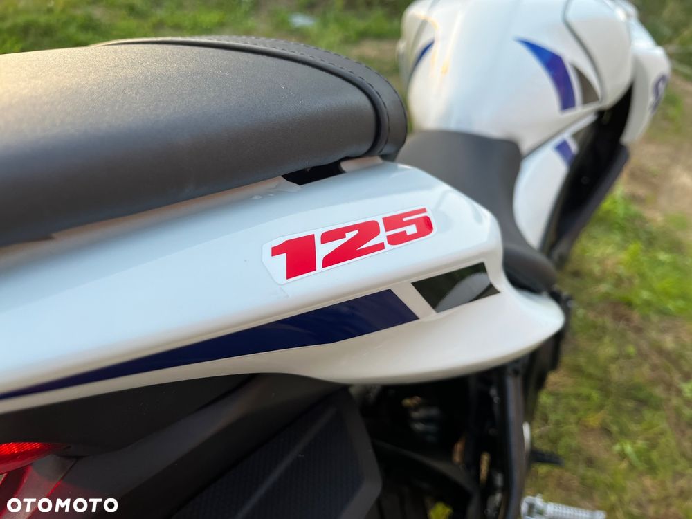 Suzuki GSX - 13
