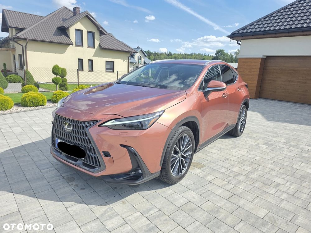 Lexus NX 350h Omotenashi AWD - 8