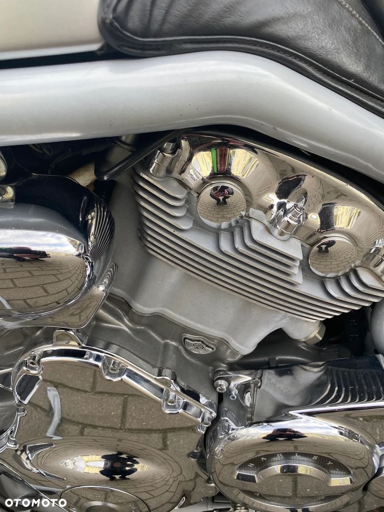 Harley-Davidson V-Rod Street Rod - 8