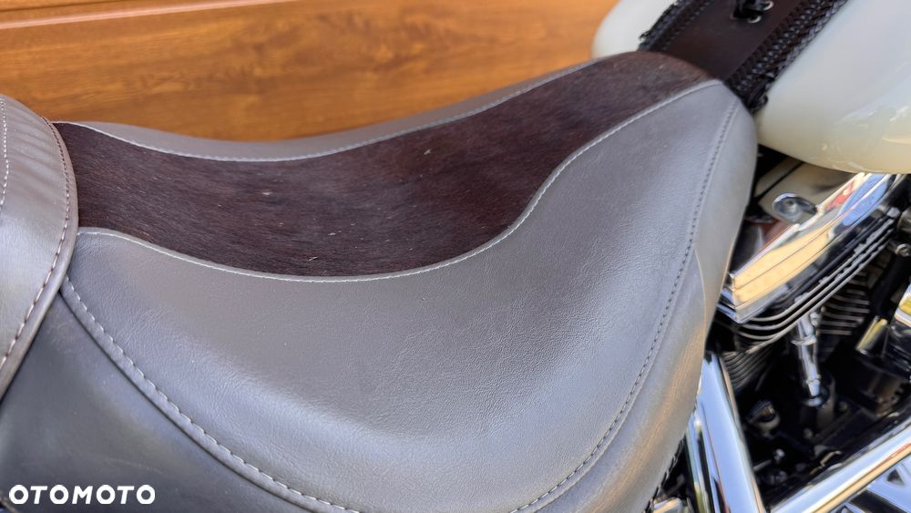 Harley-Davidson Softail - 7