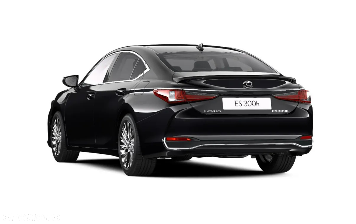 Lexus ES 300h Omotenashi - 6