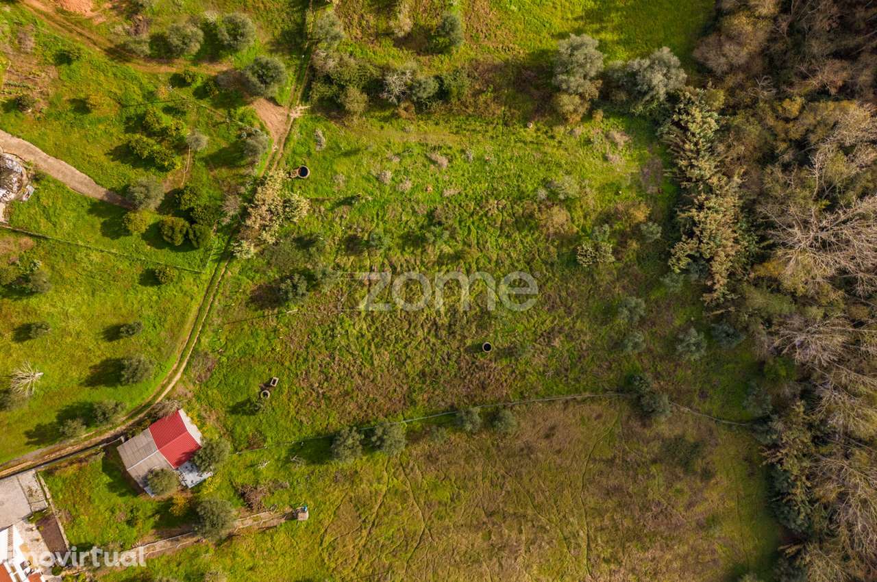Terrenos Rústicos | Pelariga, Pombal - Grande imagem: 5/36