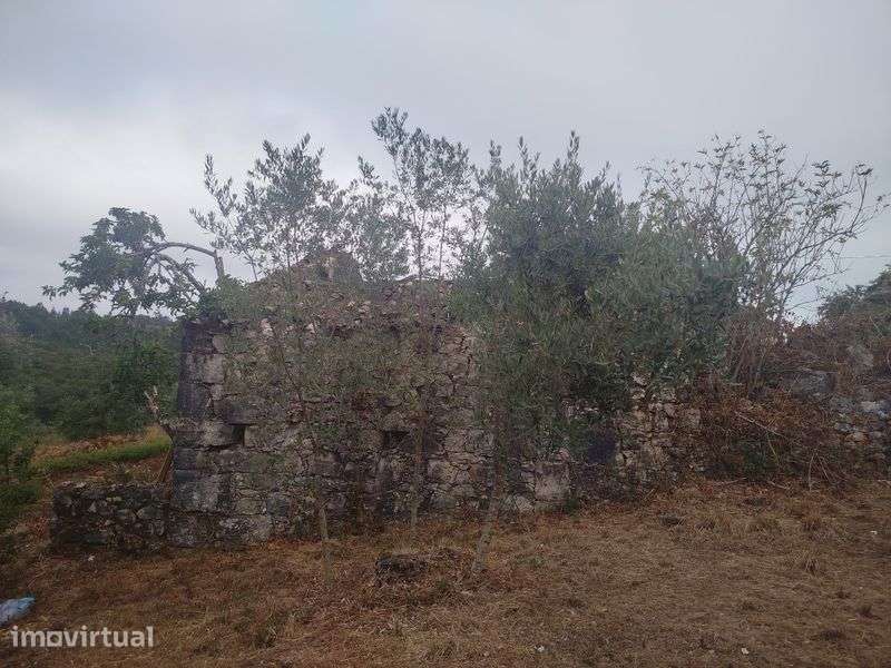 Vende-se casa em ruínas para remodelação - Grande imagem: 4/8