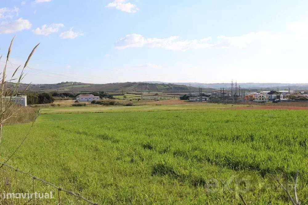 Terreno Industrial em Casalinhos de Alfaiata - Torres Vedras - Grande imagem: 3/4