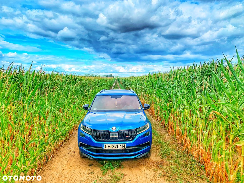 Skoda Kodiaq 2.0 Bi-TDI 4x4 RS DSG - 10