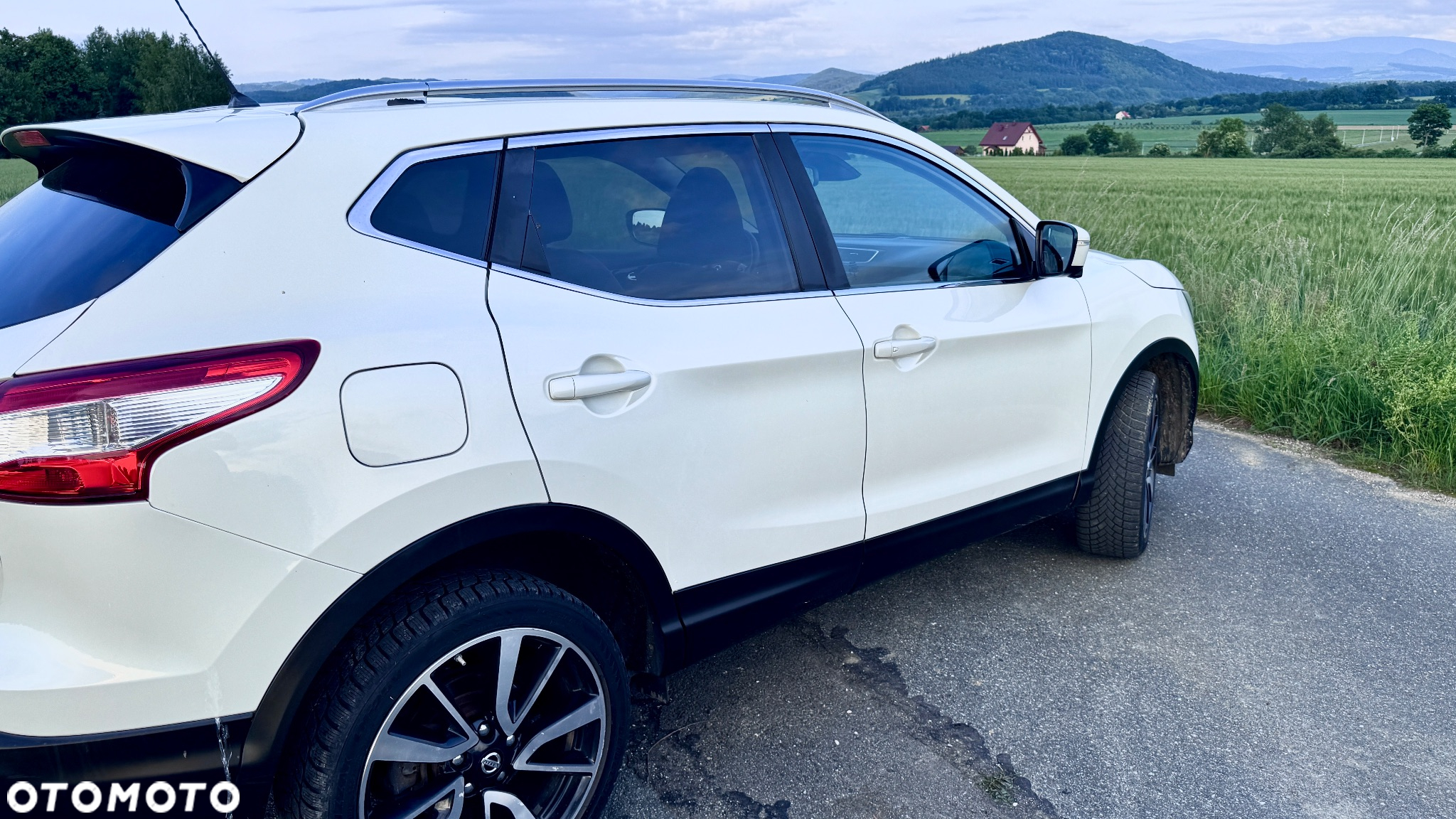 Nissan Qashqai 1.6 dCi 4x4 360 S&S - 15