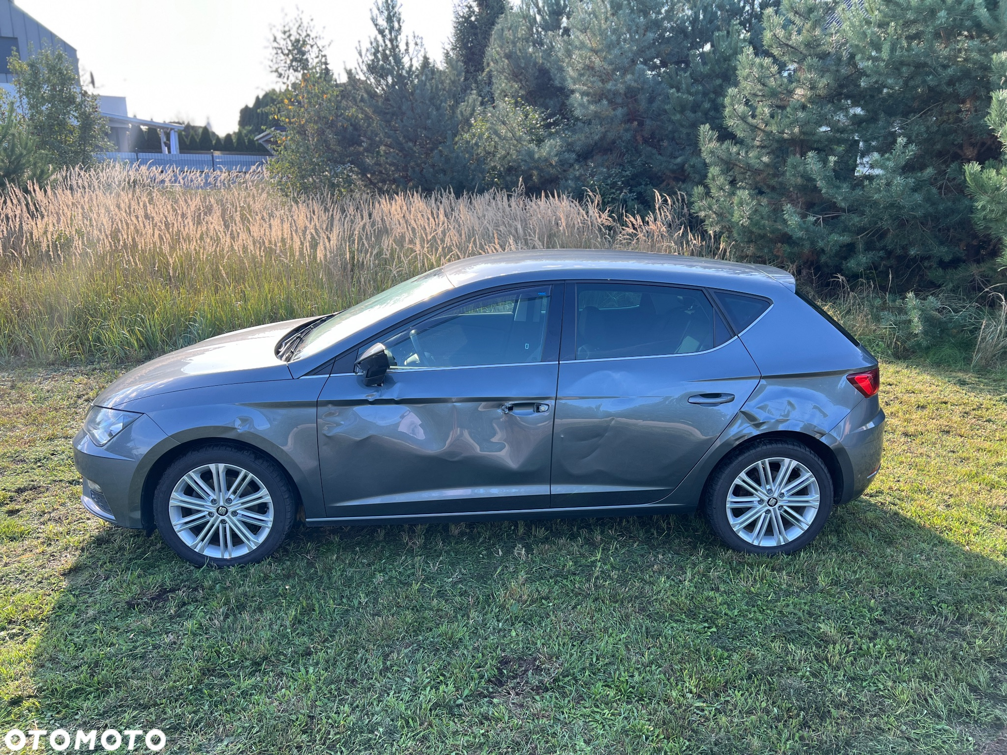Seat Leon 2.0 TDI DSG Xcellence Plus - 9