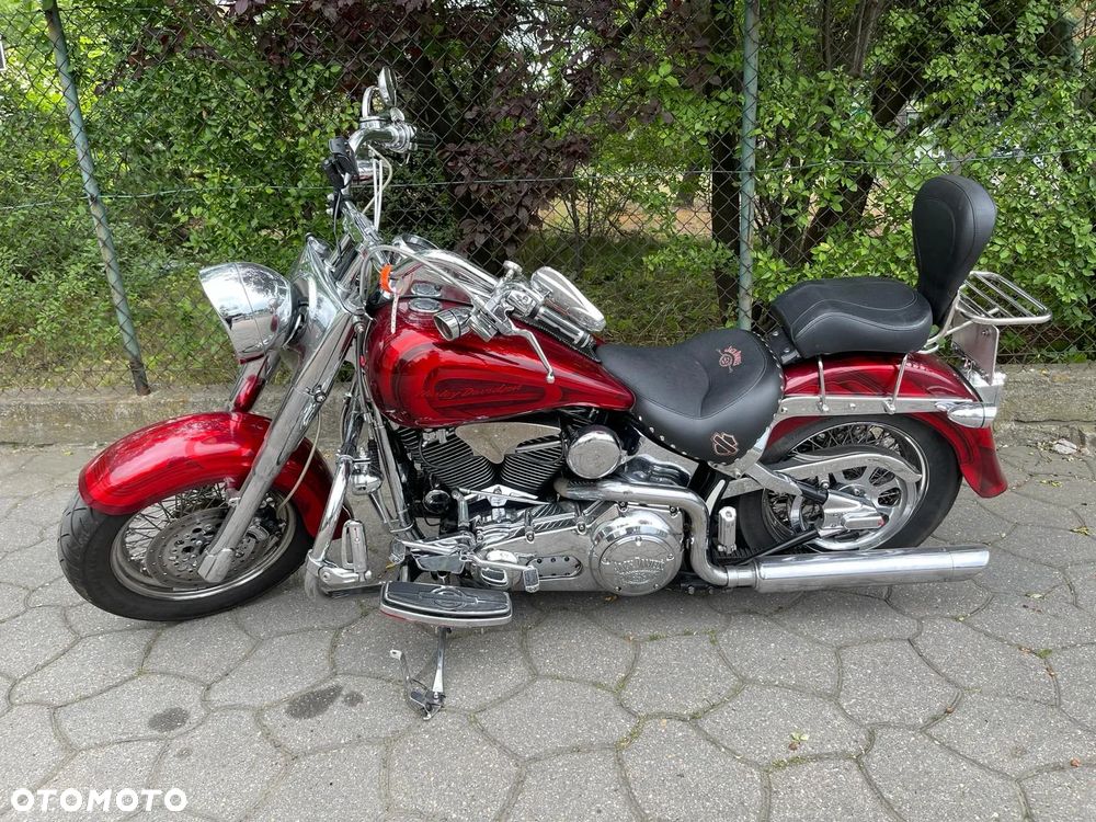 Harley-Davidson Softail Custom - 2